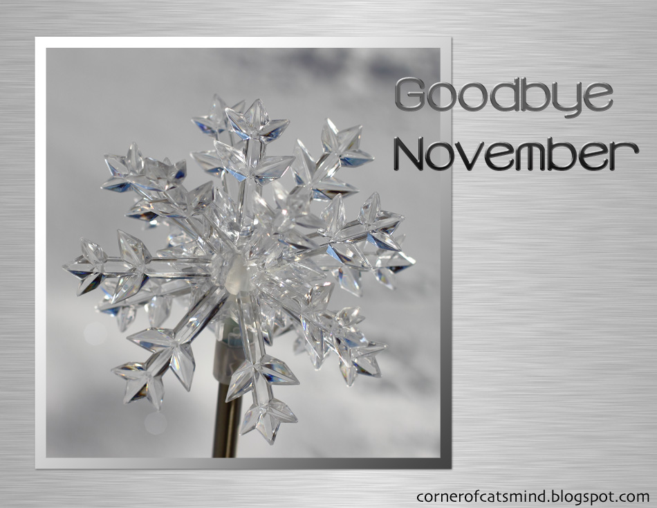 Corner of Cat's Mind: Goodbye November