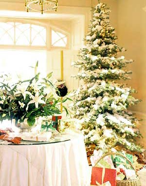 El blog de Tití: 11.2010