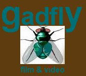 Gadfly Film & Video