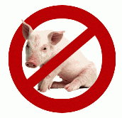 Unknown Artist - No Pigs Here