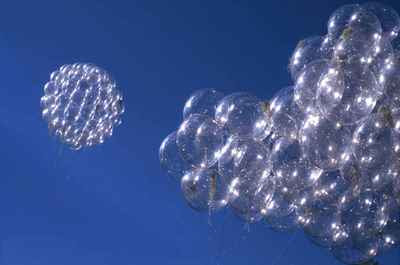 Tomas Saraceno - Flying Garden (2006) installation detail, Sudeley Castle