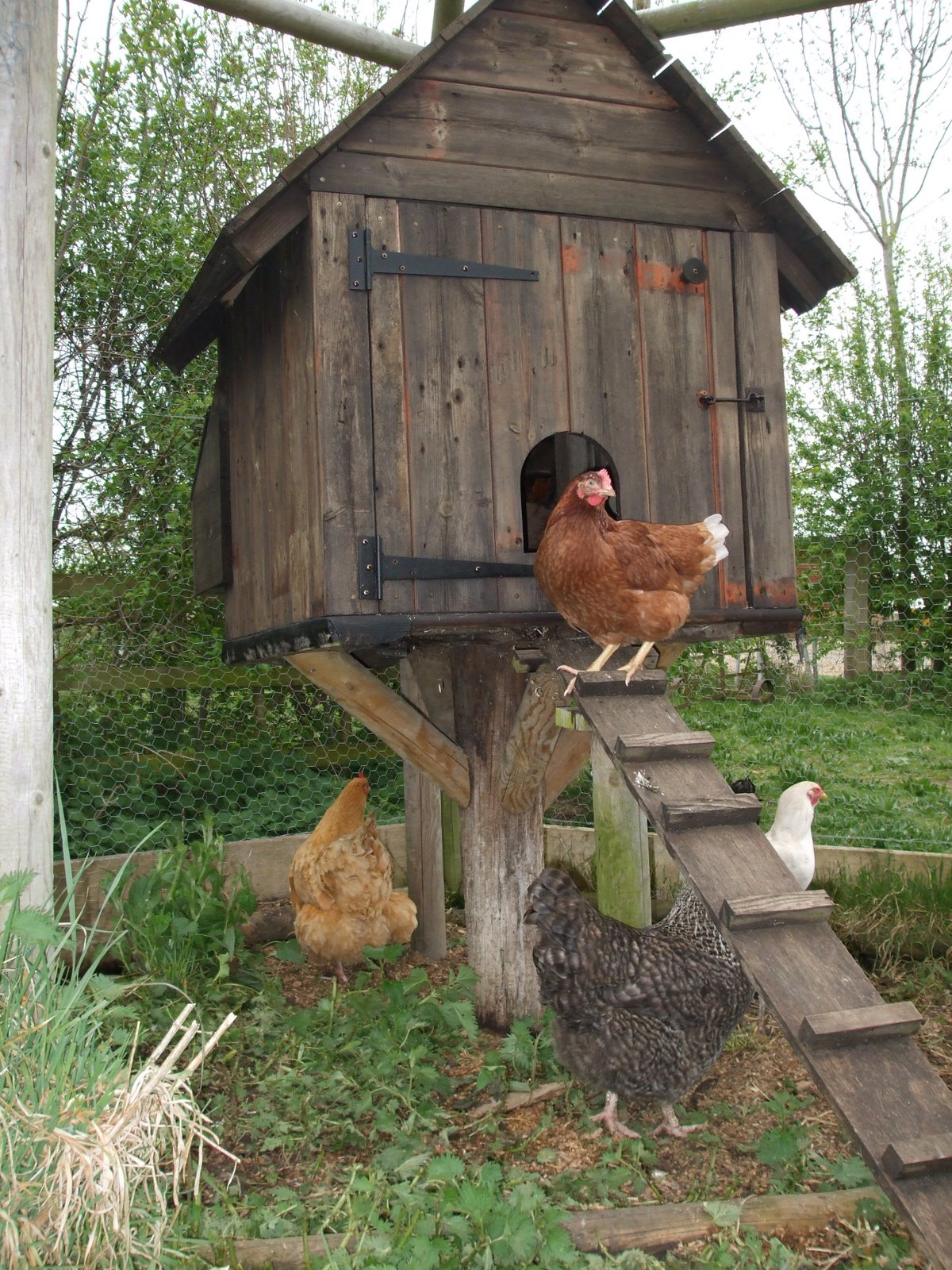 [2009_0414norfolk0097.JPG]