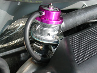 PROFESSİONAL DESİGN: Kasım 2010