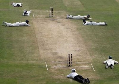 Cricket Amazing Moments