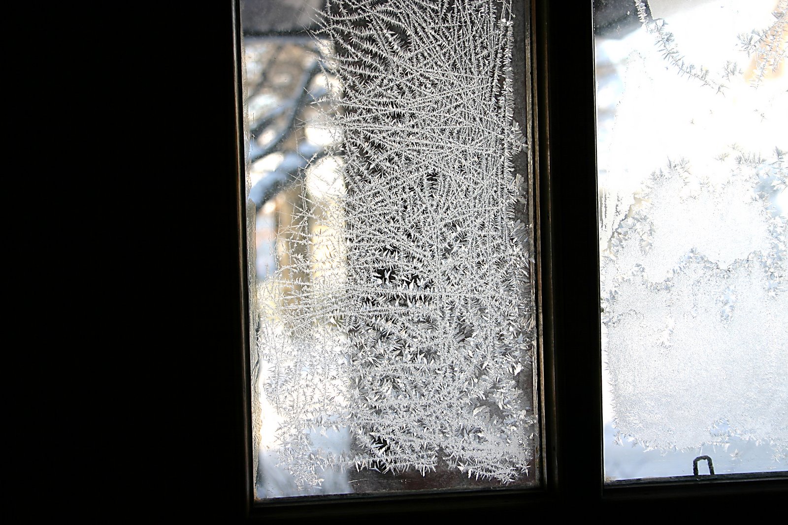 [IMG_3673.JPG]