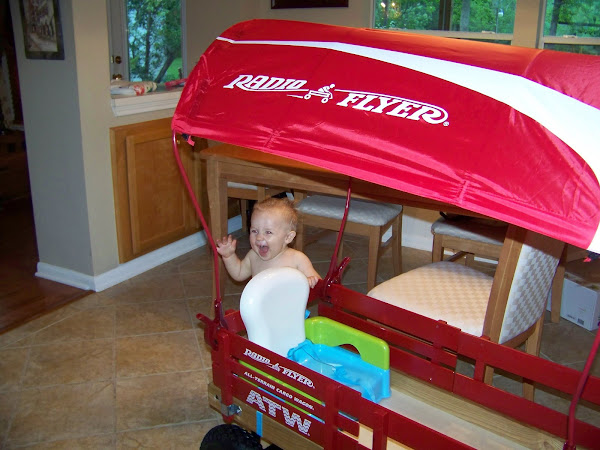 Adam gets a new wagon