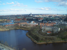Copenhagen View