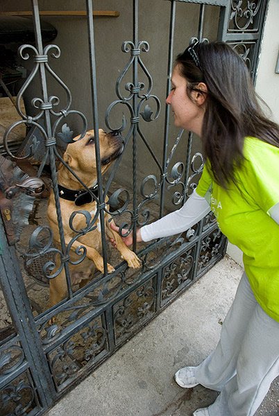Bake za druzenje bake za druzenje