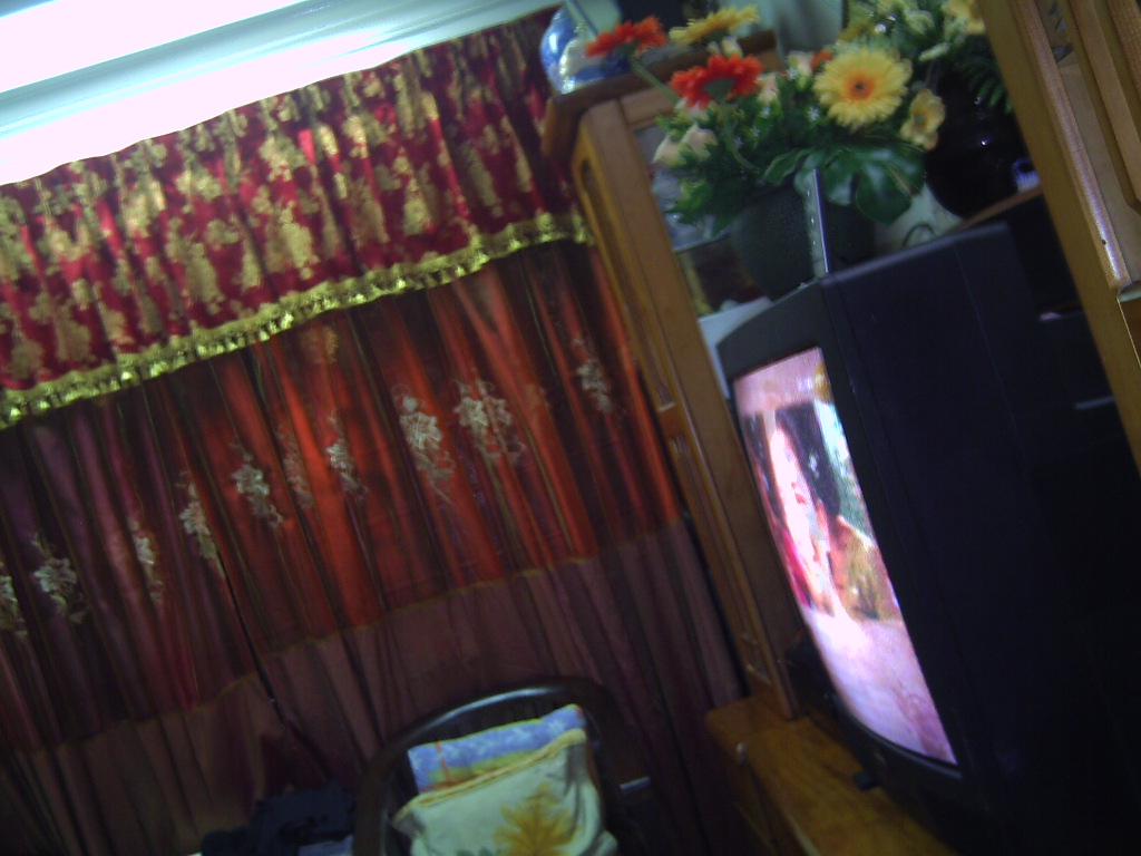 [PICT0172.JPG]