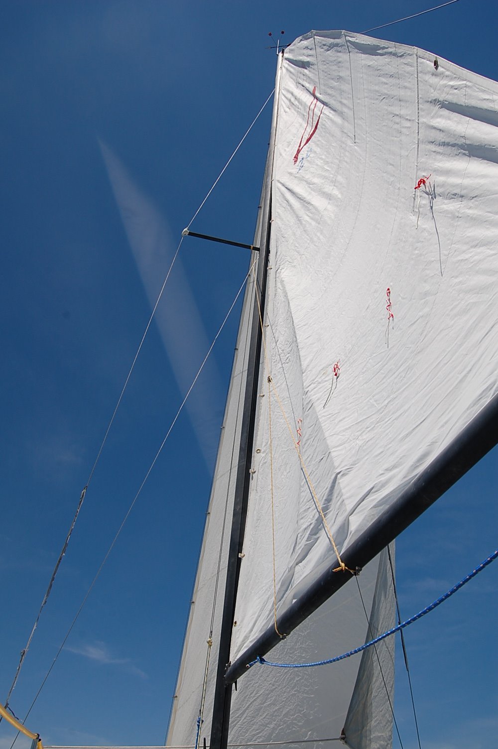 [Sails+up.JPG]