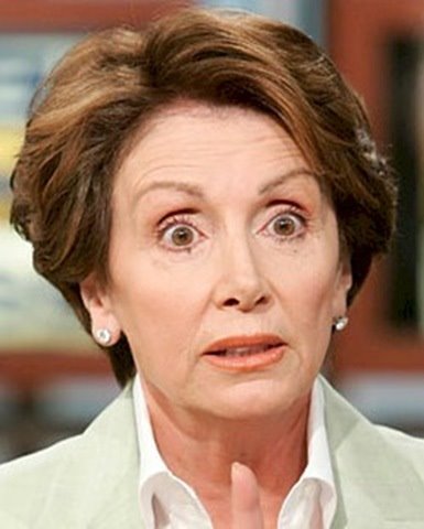 [Pelosi+deer+in+the+headlights.bmp]