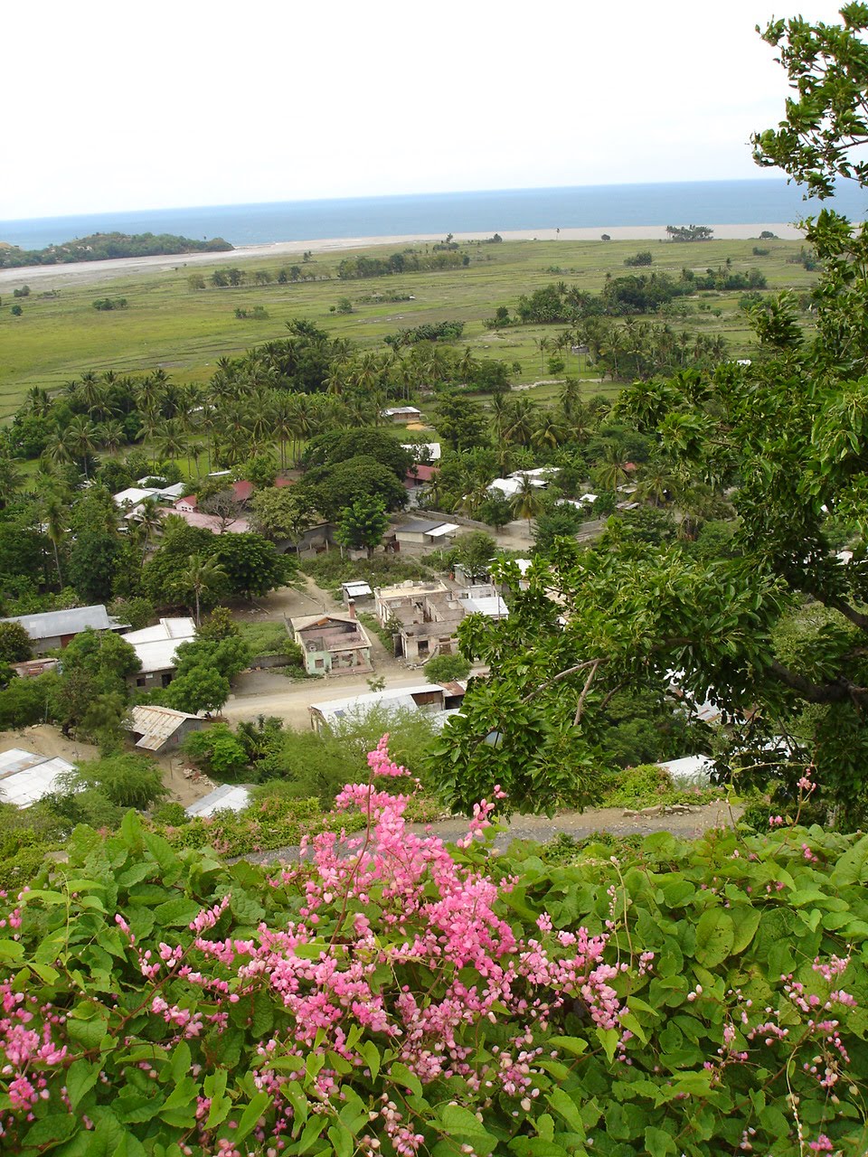 [DSC03453.JPG]