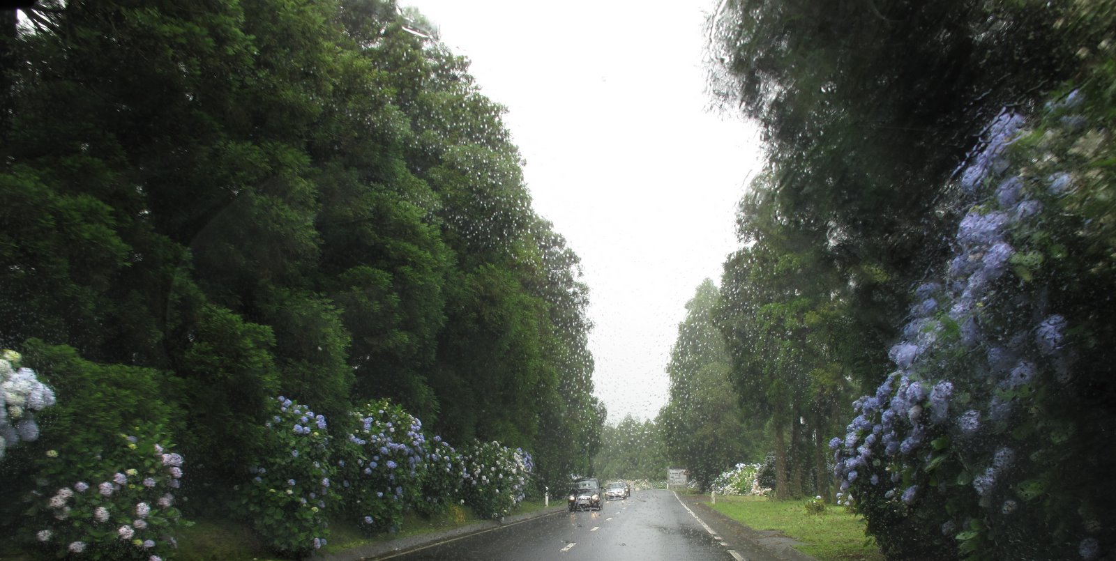 [AZORES_1+027.jpg]