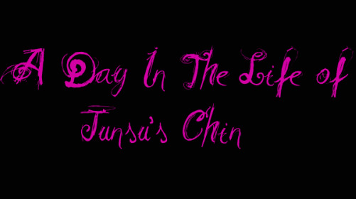 A Day In The Life of Junsu's Chin