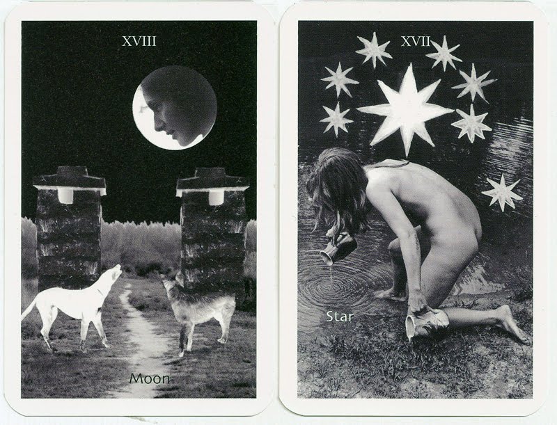 Bea Nettles Photography