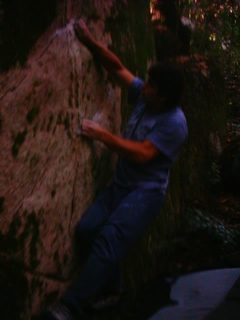 [IMAG0133.JPG]
