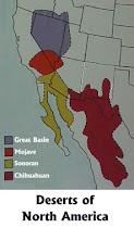 North American Deserts