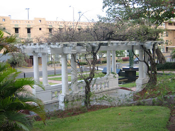 RARE TRELLIS FRONT OF CAPITOL