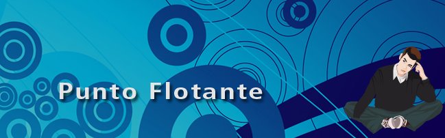 Punto Flotante