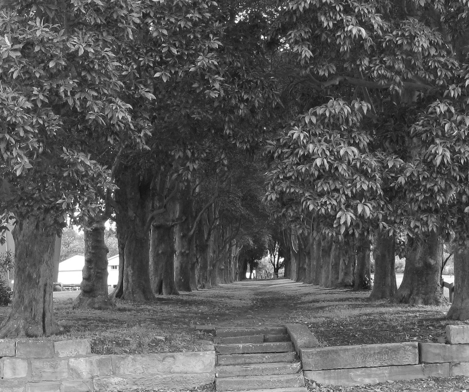 [Morpeth.bmp]