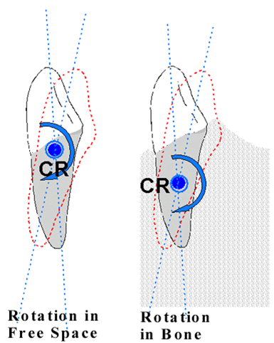 Dental decks pdf Download - Link 4share