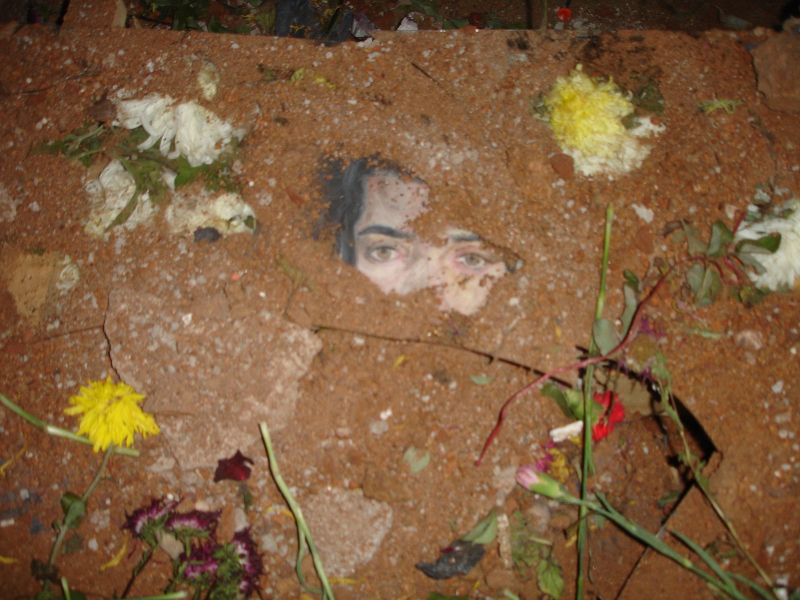 [DSC06101.JPG]