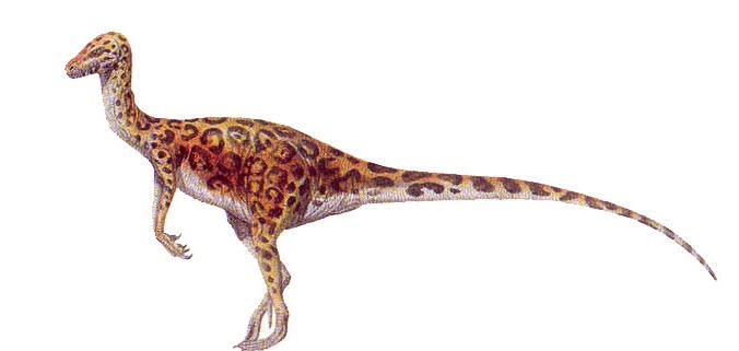 Coelurus - 676x321 - jpeg Coelurus