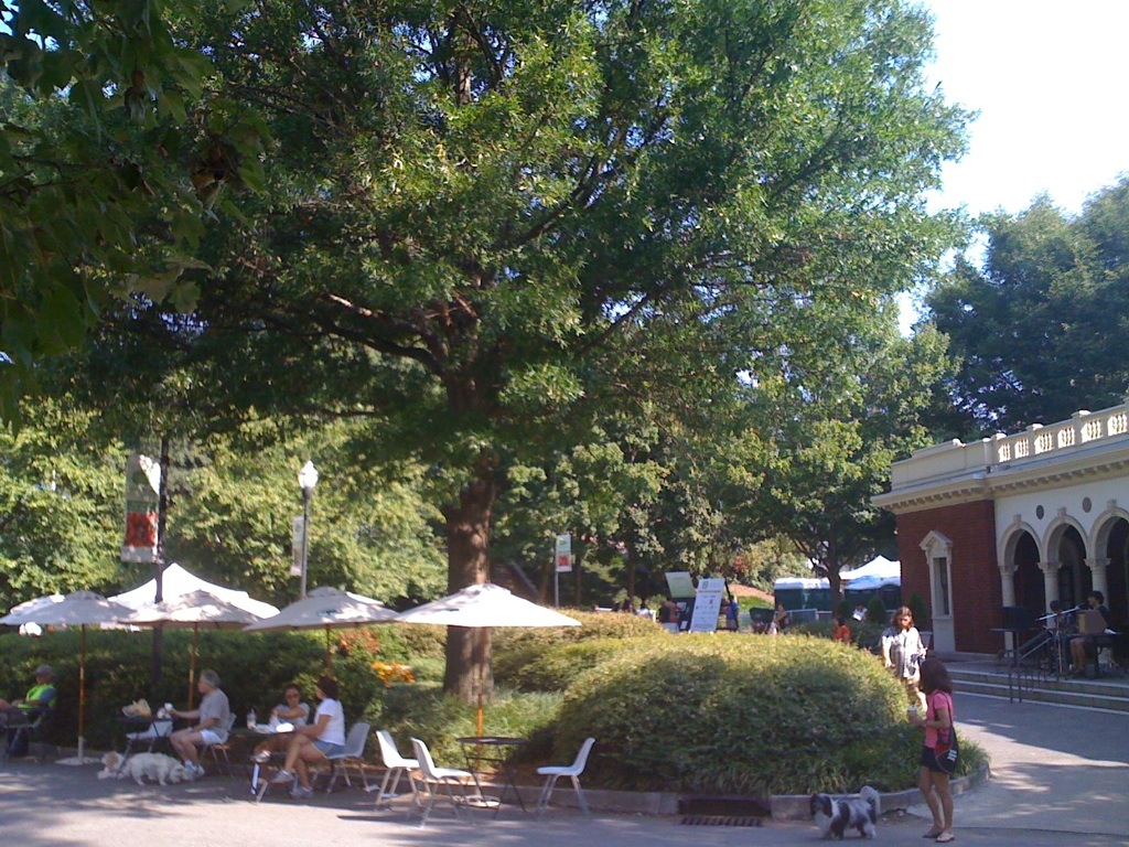 To Dog With Love Get Schooled in a Cause for Paws GSU Students Take