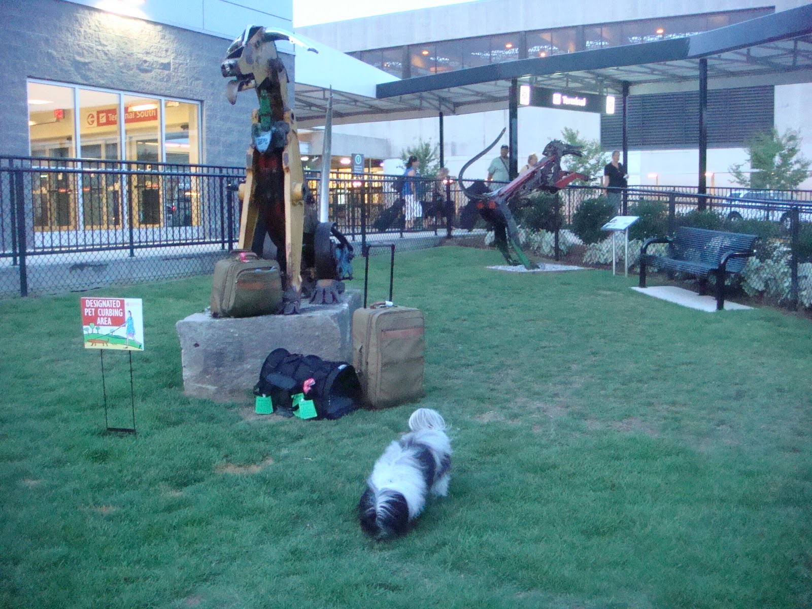 Pet pooping station at the airport