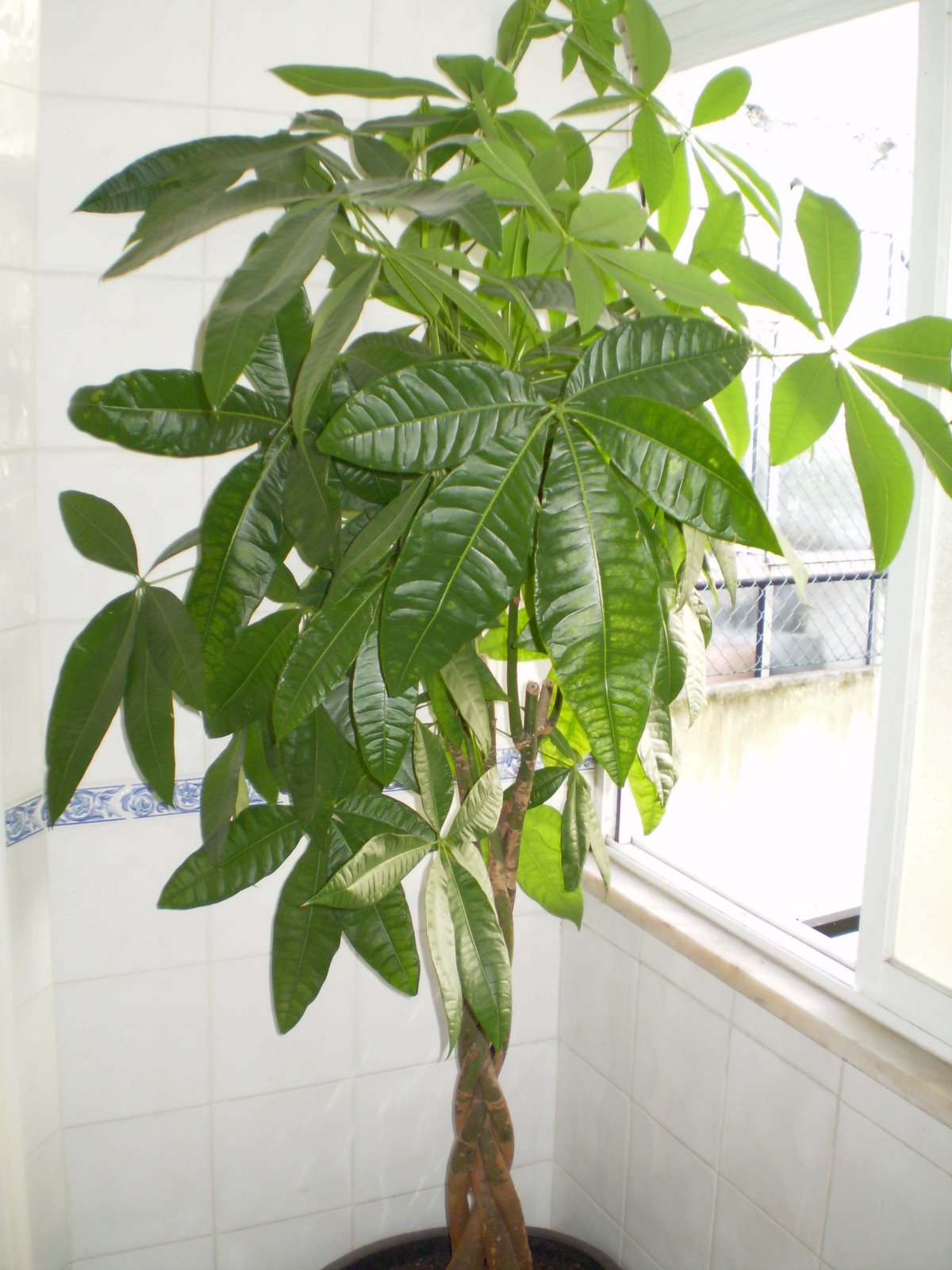 [fotos+blog+003.jpg]