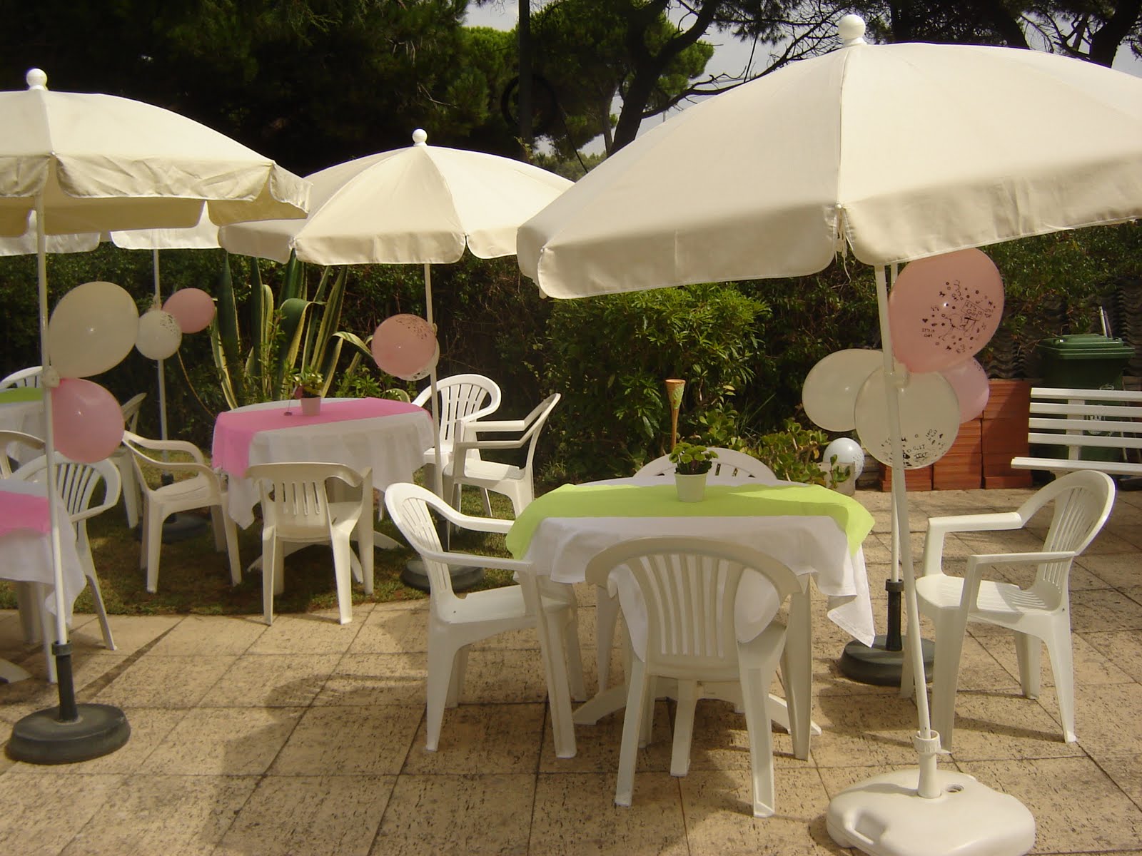 [DSC00789.JPG]
