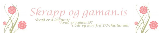 Skrapp og gaman.is