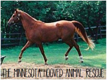 Minnesota Hooved Animal Rescue