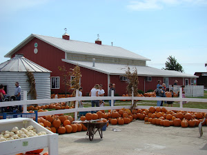 Red Barn from Patio