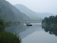 A misty morning Mosel moment