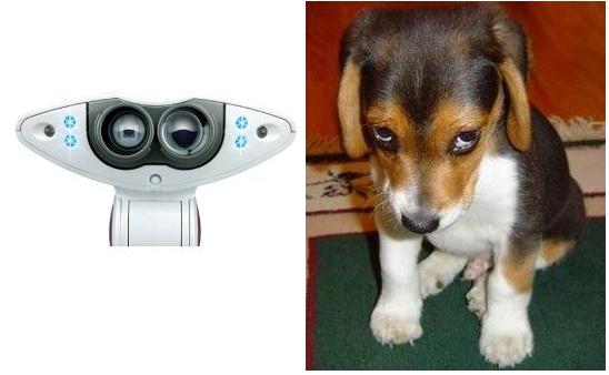 [vs.JPG]