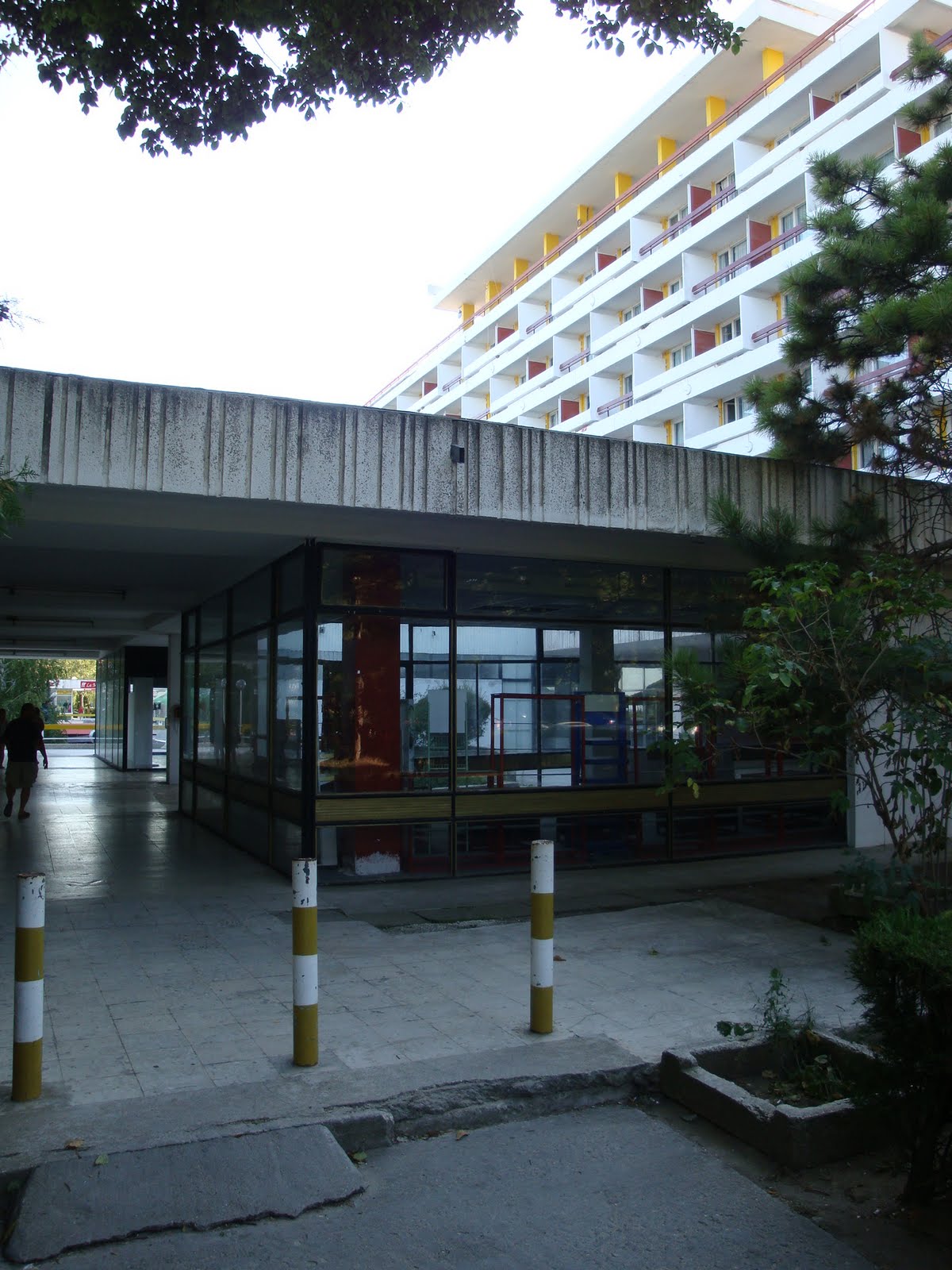 [DSC04423.JPG]