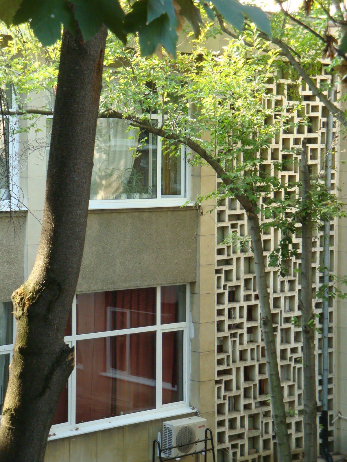 [DSC05092.JPG]