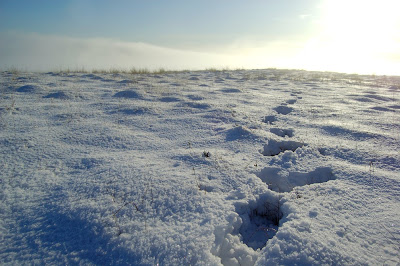 Kilpatrick Hills snow