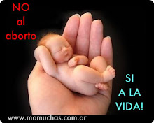 NU avortului! DA vieţii!
