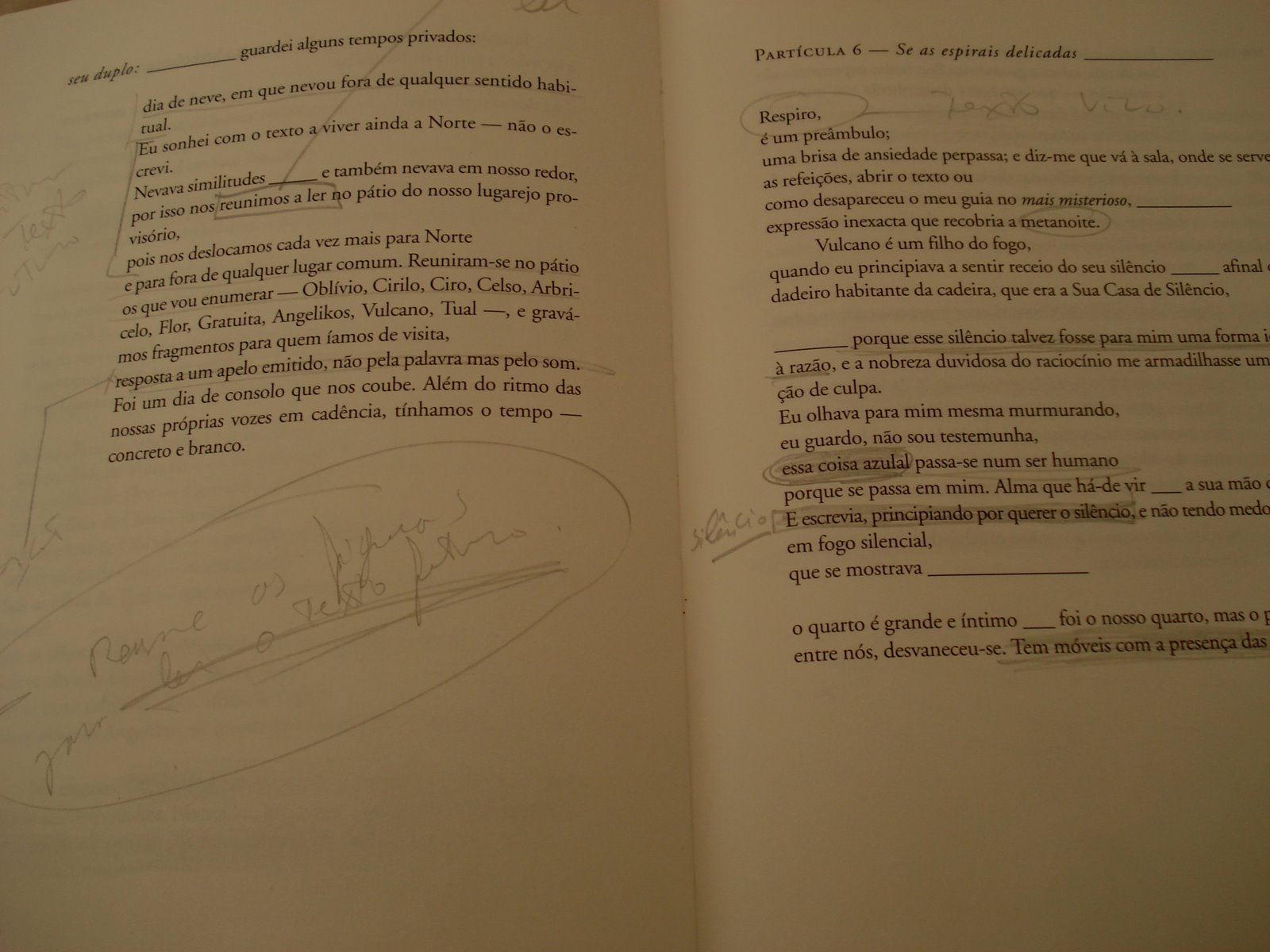 [Imagem+058.jpg]
