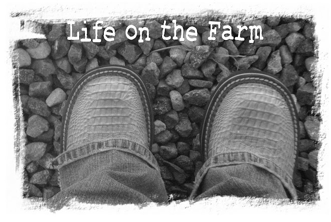 Life on the Farm