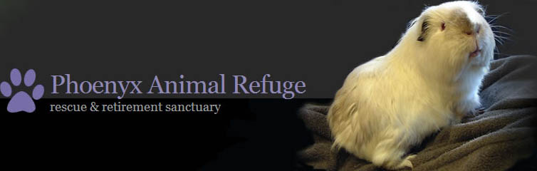 Phoenyx Animal Refuge