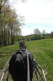 Mother's day drive