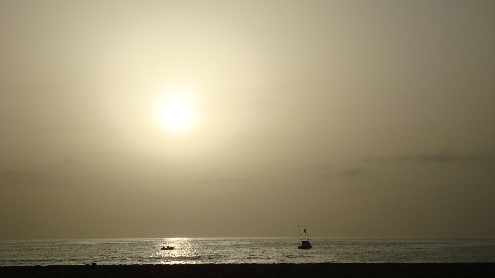 [DSC00916.JPG]