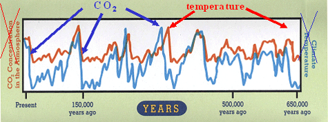 [correctedchart.gif]