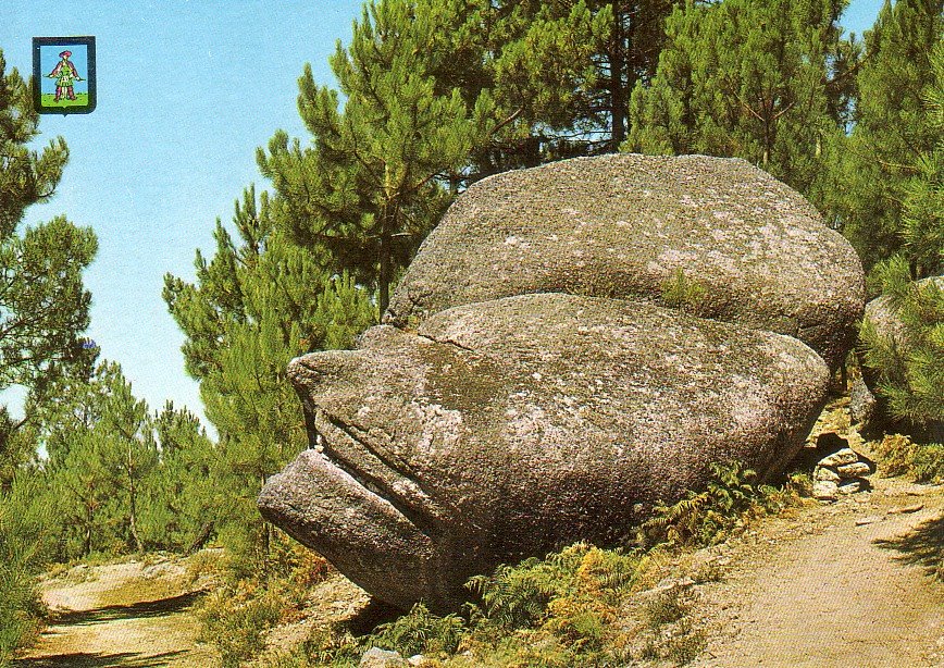 [CP_cabeça_da_velha.jpg]