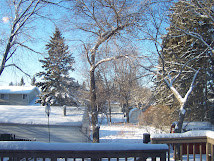 Winter January 1 2009