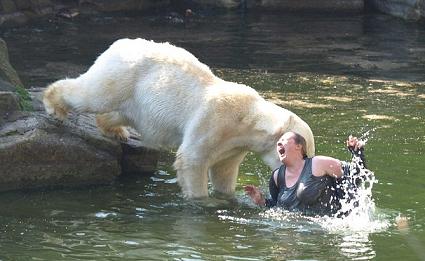 [polarbearattack.jpg]