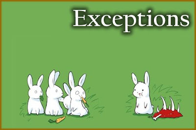 The Exception - The Exceptional Exception The Exception - The Exceptional Exception